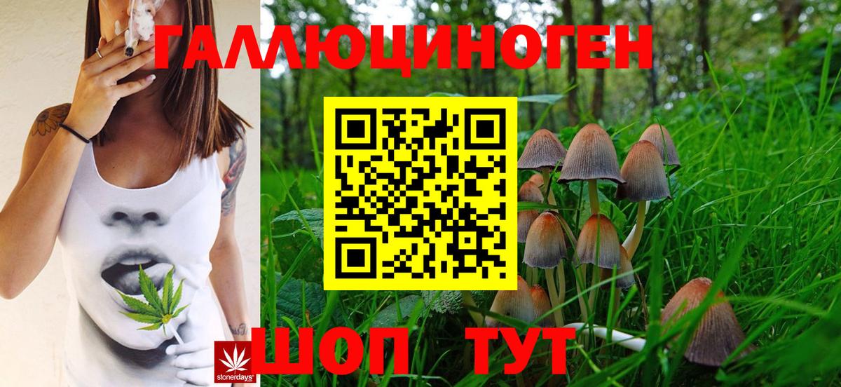 Псилоцибиновые грибы Psilocybine cubensis Дзержинск