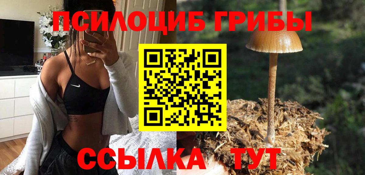 как найти   Вход с VPN  Дзержинск  Галлюциногенные грибы мицелий 